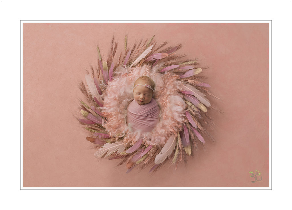 Best Lacey newborn photography